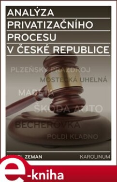 Analýza privatizačního procesu v České republice - Karel Zeman e-kniha