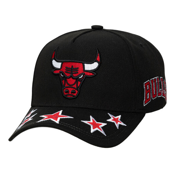Mitchell & Ness Pánská kšiltovka Chicago Bulls NBA Shining Stars Pro Snapback