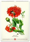 Nástěnný kalendář 2026 NOTIQUE - Vintage plakáty – herbář, 33 x 46 cm