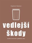 Vedlejší škody