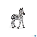 Zebra mládě