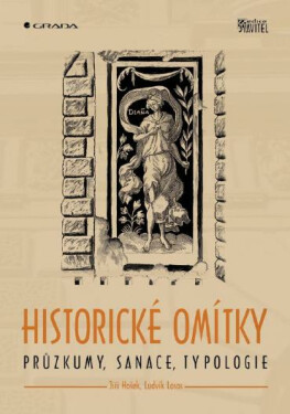 Historické omítky - Jiří Hošek, Ludvík Losos
