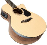 Furch Blue Performance Gc-SW CNR Active 2026