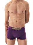 Pánské boxerky 2 pack 42589 Spin - HENDERSON vícebarevná L