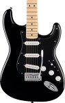Fender Standard Stratocaster MN Black Pickguard BK
