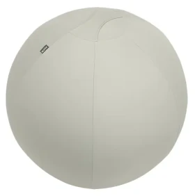 Leitz Ergo šedá / Gymnastický míč / průměr 65 cm / nosnost 150 kg / TÜV certifikace (65420085)