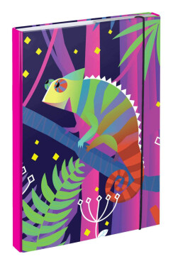 BAAGL Desky na školní sešity / Chameleon A4