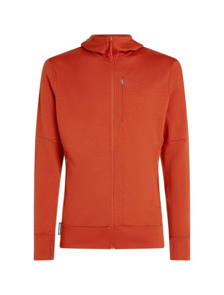 ICEBREAKER Mens 260 Quantum IV LS Zip Hood, Agate (vzorek) velikost: M