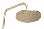 REA - Sprchový set s baterií 150mm s termostatem PAROT kartáčovaná zlatá REA-P2323