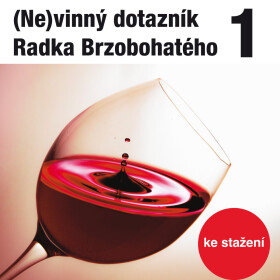 (Ne)vinný dotazník Radka Brzobohatého 1. - audiokniha