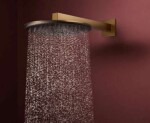 HANSGROHE - Raindance Alive S Hlavová sprcha, průměr 30 cm, 2 proudy, kartáčovaný bronz 24540140