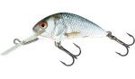 Salmo Wobler Hornet Floating 6cm - Real Identity Perch,Salmo Wobler Hornet Floating 6cm - Real Identity Perch