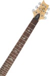 PRS SE Studio Standard Sage Green