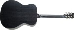 Tanglewood TB3