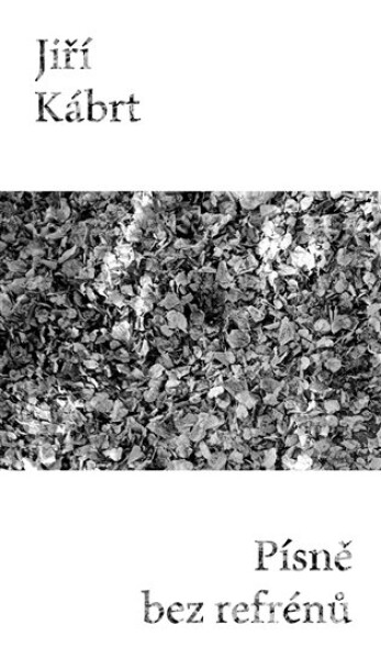 Písně bez refrénů - Jiří Kábrt