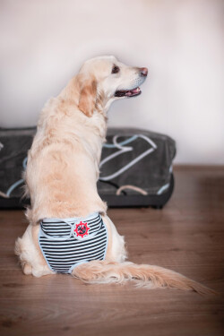 Marine hárací kalhotky pro psa Barva: Černá, Obvod slabin (cm): 30 - 40