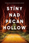 Stíny nad Pecan Hollow - Caroline Frostová - e-kniha