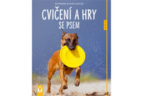 Cvičení hry se psem