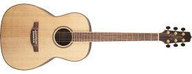 Takamine GY93, Rosewood Fingerboard - Natural