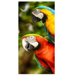 Froté osuška PAPOUŠCI ARA 70 x 140 cm