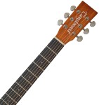 Tanglewood TR 3 LH