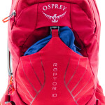 Batoh OSPREY Raptor II 10L cedar green