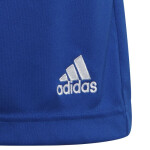 Dětské šortky Adidas Entrada 22 Short Jr HG6291 cm