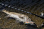 Shimano Prut 26Lunamis Spinning 2,29m 7-35g,Shimano Prut 26Lunamis Spinning 2,29m 7-35g