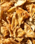 Vilgain Ananas sušený BIO – Kousky 250 g