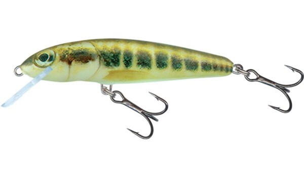 Salmo Wobler Minnow Floating 7cm - Minnow,Salmo Wobler Minnow Floating 7cm - Minnow