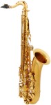 Arnolds & Sons ATS-301 Terra