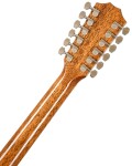 Taylor Legacy 855e