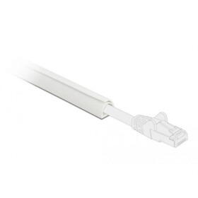 Delock Kabelová lišta PVC bílá (d x š x v) 1 m x 10 mm x 10 mm 1 ks 20717