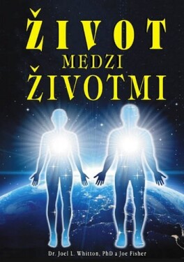 Život medzi životmi - Joel L. Whitton; Joe Fisher