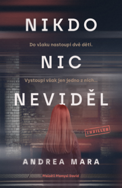 Nikdo nic neviděl - Andrea Mara