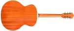 Guild F-240E Archback NAT