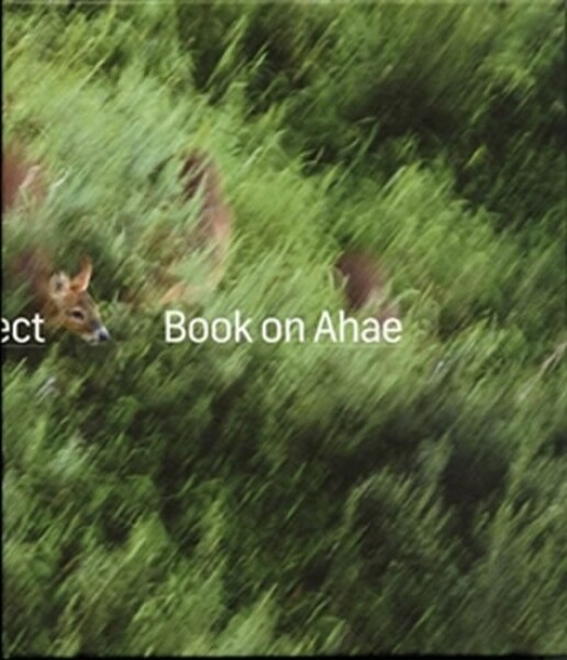 Book on Ahae Milan Knížák