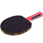 Raketa na stolní tenis Atemi 2000 stolní tenis
