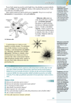 Přírodopis pro základní školy Zoologie botanika,