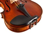 Eastman Albert Nebel Series+ Violin 4/4 (VL601G+)