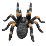 Tarantule rudokrká figurka