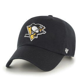 47 Pittsburgh Penguins 47