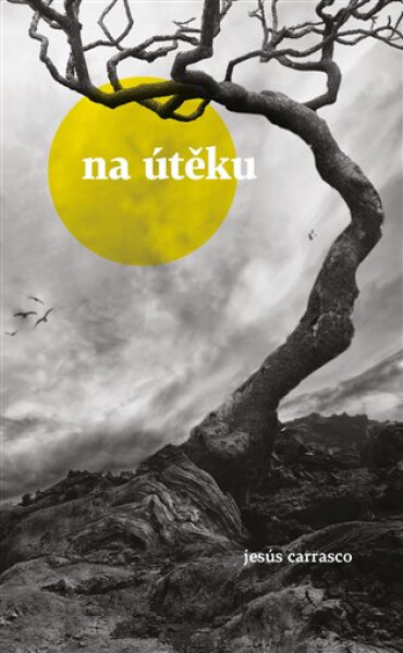 Na útěku Jesús Carrasco