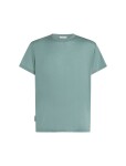 Pánské merino triko s krátkým rukávem ICEBREAKER Mens Mer Core SS Tee, Blue Ash velikost: XL