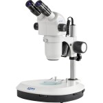 Bresser Optik Science TFM-301 Trino, trinokulární mikroskop s procházejícím světlem, 1000 x, procházející světlo, 575090