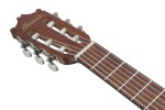 Ibanez GA2 Amber
