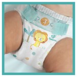 Pampers active baby