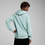Mikina Puma Ess 2 Color Small No.1 Logo Hoodie TR M 684719 67 pánské M