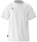 Tričko Mizuno Athleticwear Mizuno Tee Shirt K2GAD50201 Velikost textilu: M