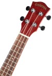 Cascha HH 2263